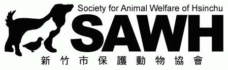 首頁